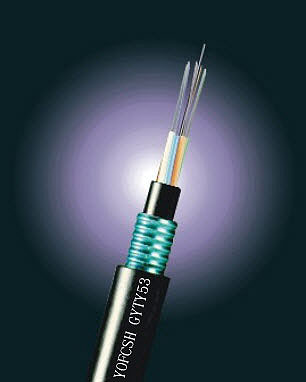 LwGYTS53؄P|